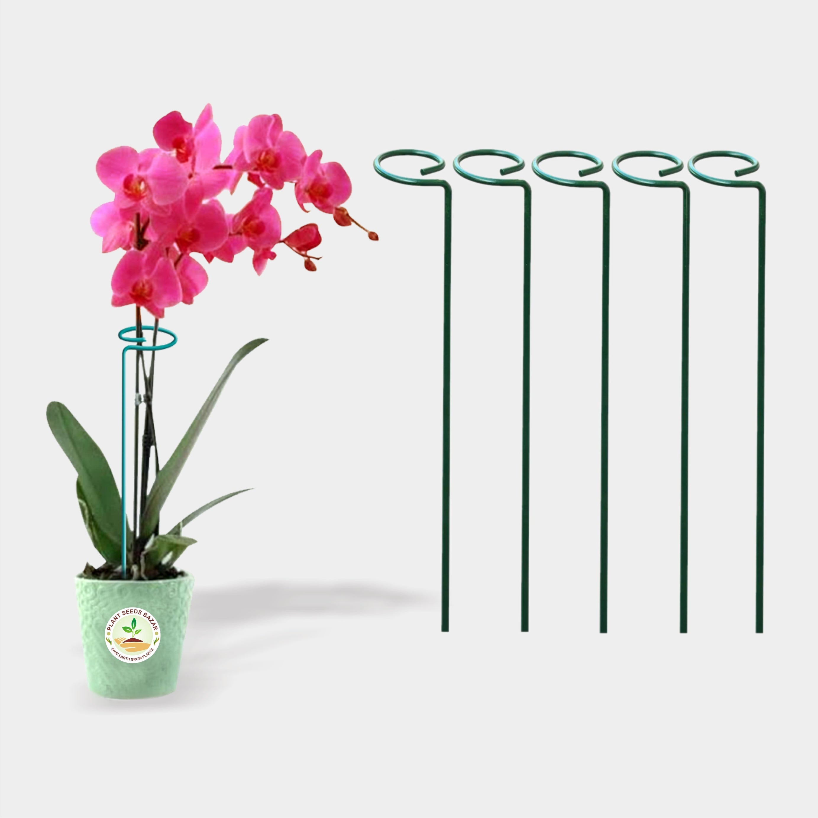 Garden Stakes - Metal Plant Sticks